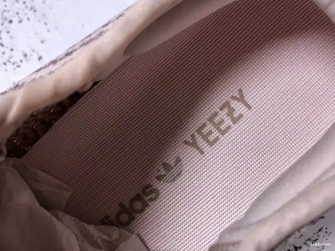 Adidas FV5666 350 Boost Yeezy V2 Synth Reflective 0508